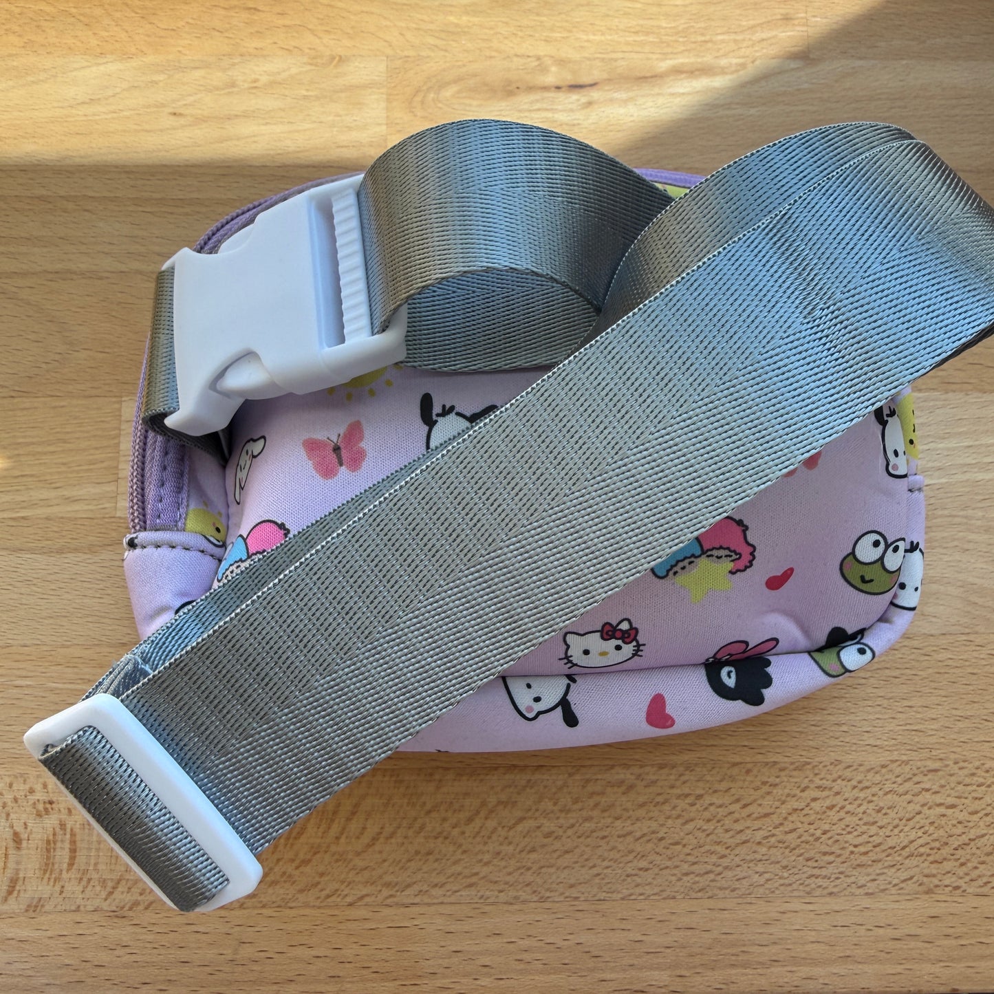 Belt Bag: Choose One